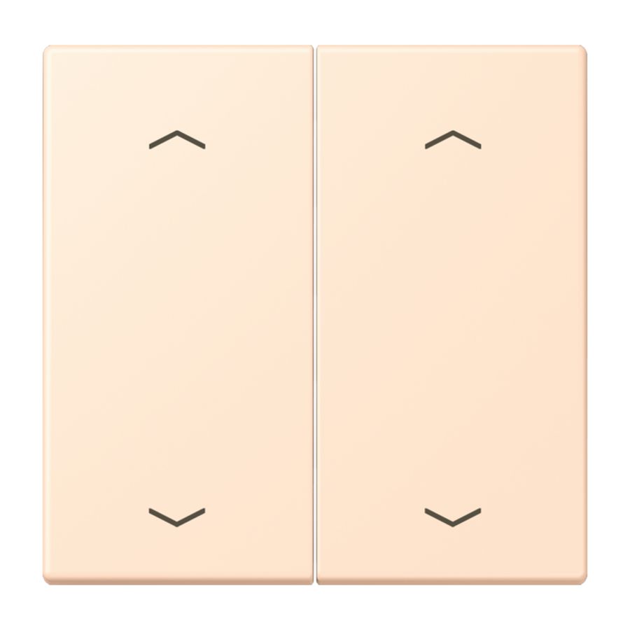 Wip KNX-F10 taster 2voudig pijl LC32123