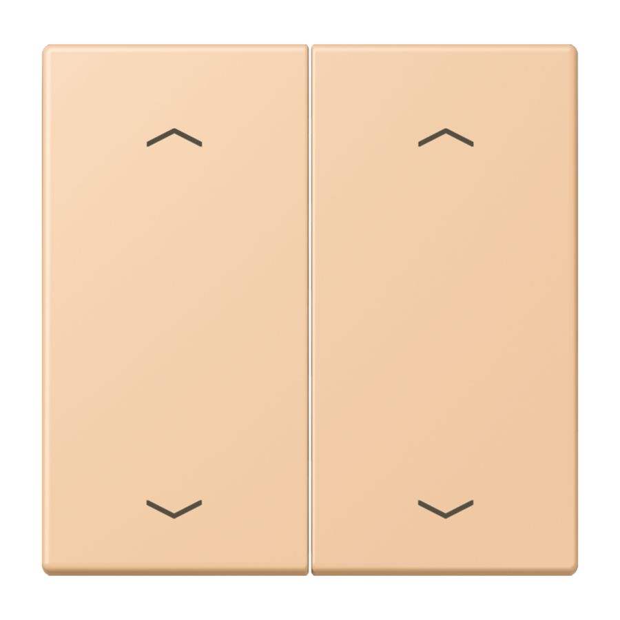 Wip KNX-F10 taster 2voudig pijl LC32122