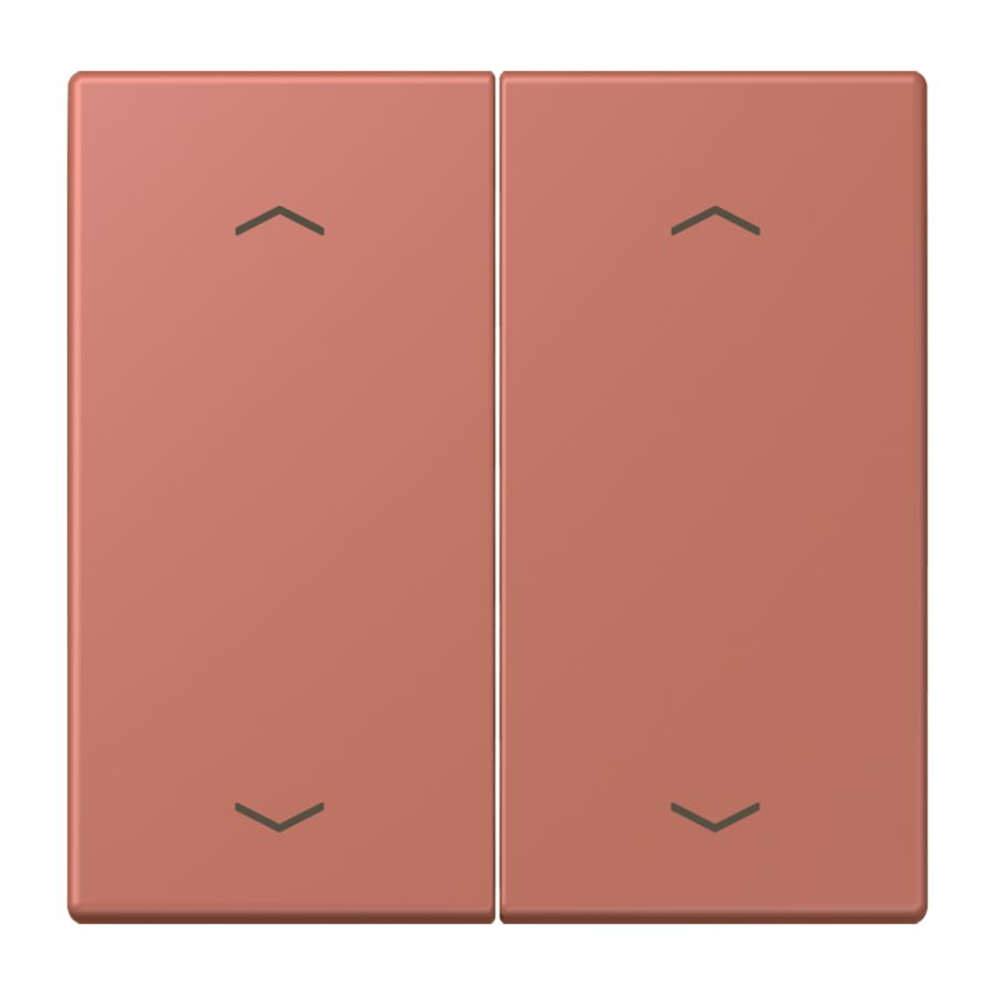 Wip KNX-F10 taster 2voudig pijl LC32121