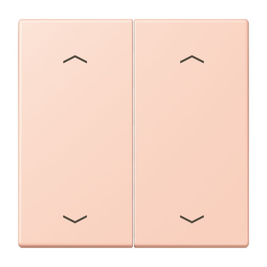 Wip KNX-F10 taster 2voudig pijl LC32112