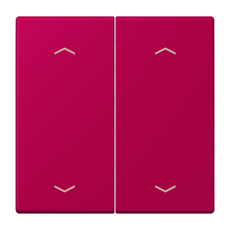 Wip KNX-F10 taster 2voudig pijl LC32101