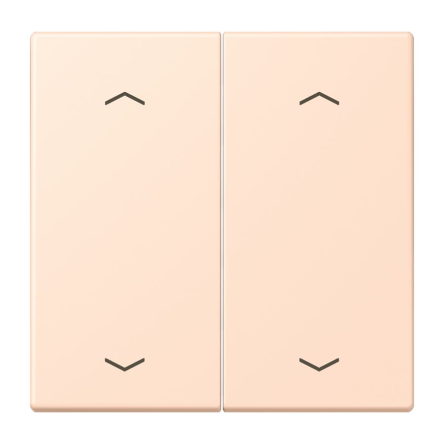 Wip KNX-F10 taster 2voudig pijl LC32091