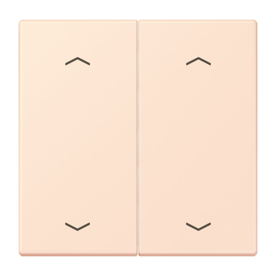 Wip KNX-F10 taster 2voudig pijl LC32082