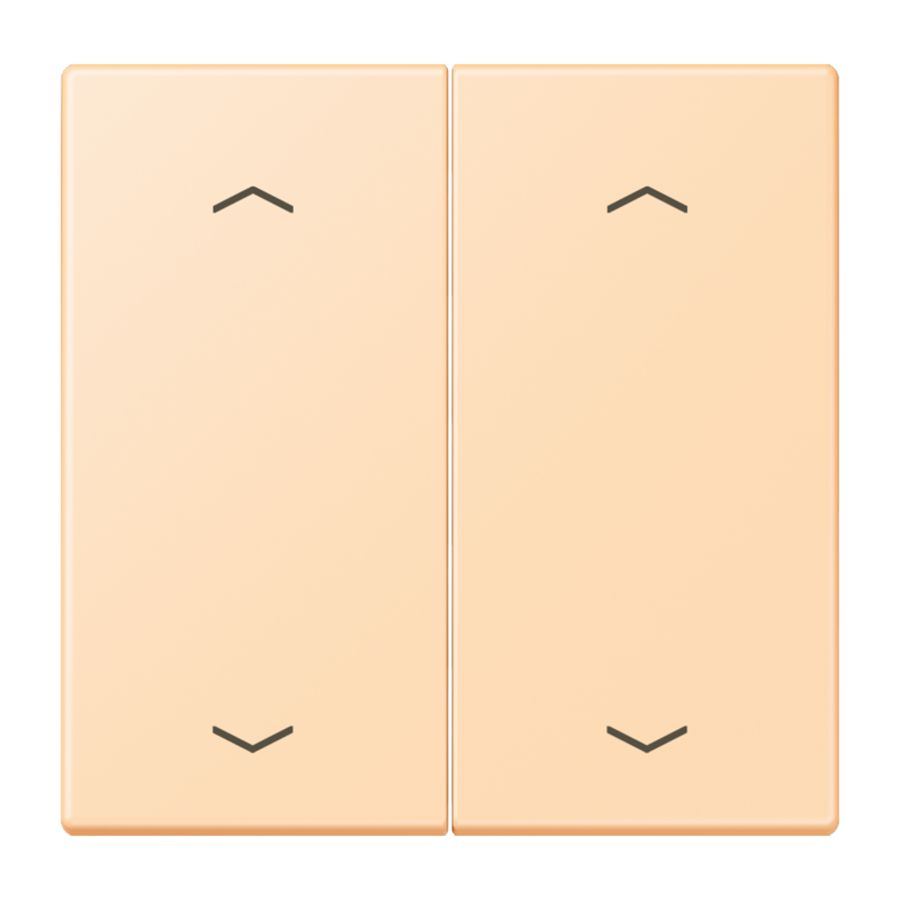 Wip KNX-F10 taster 2voudig pijl LC32060