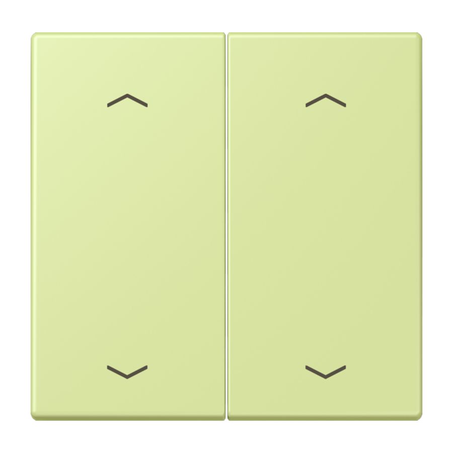 Wip KNX-F10 taster 2voudig pijl LC32053