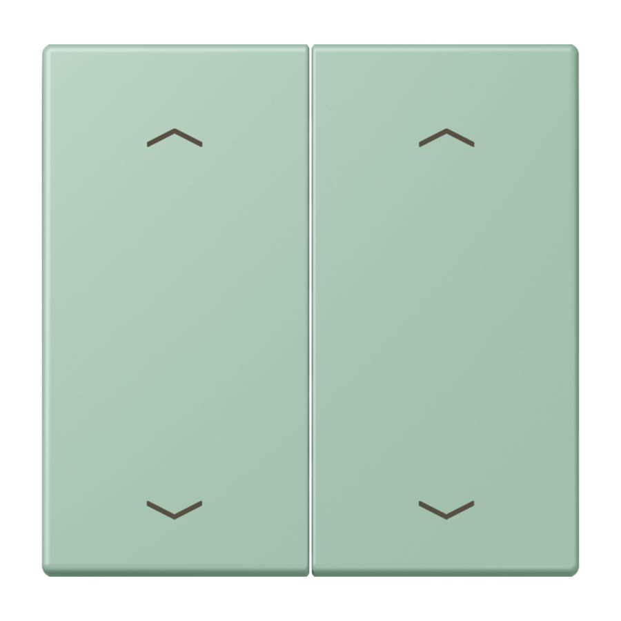 Wip KNX-F10 taster 2voudig pijl LC32041