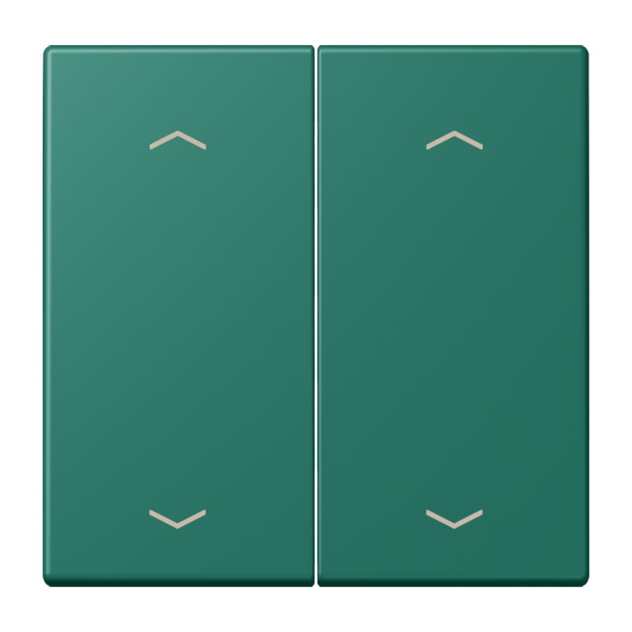 Wip KNX-F10 taster 2voudig pijl LC32040