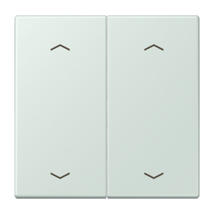 Wip KNX-F10 taster 2voudig pijl LC32034