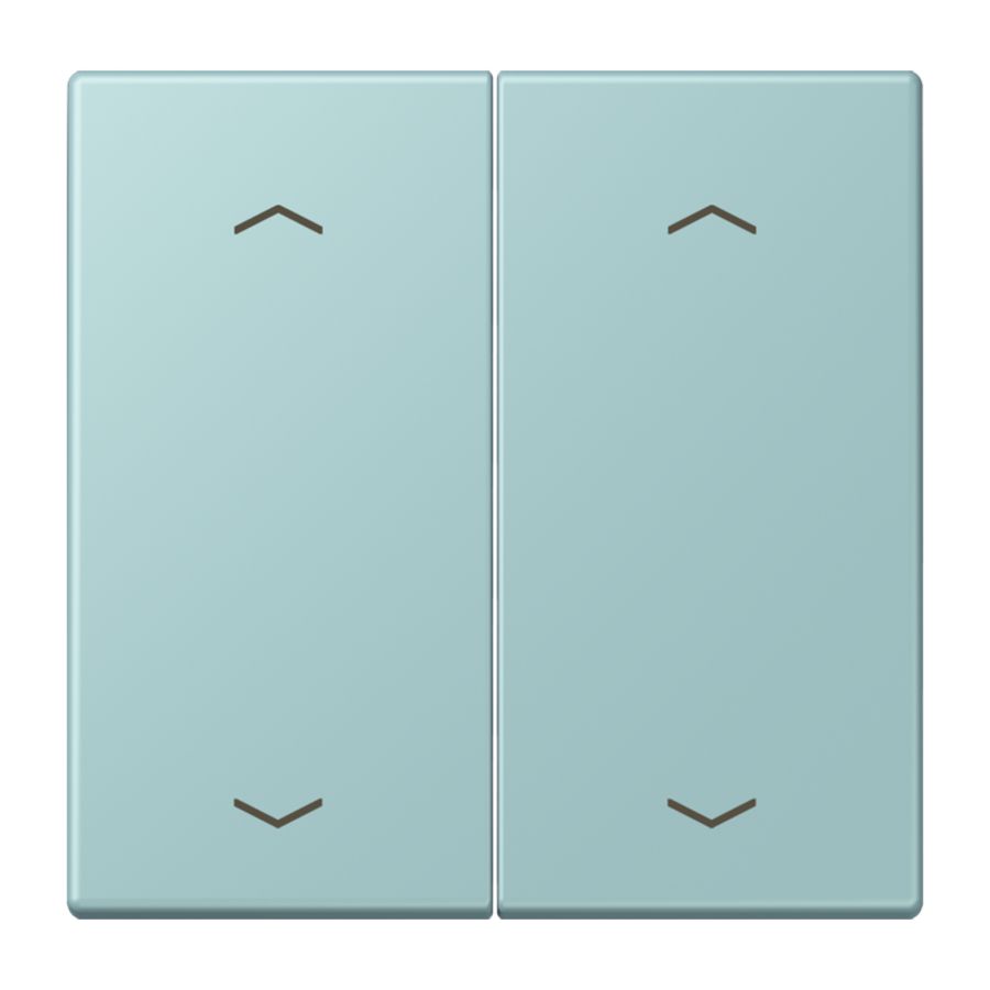 Wip KNX-F10 taster 2voudig pijl LC32033