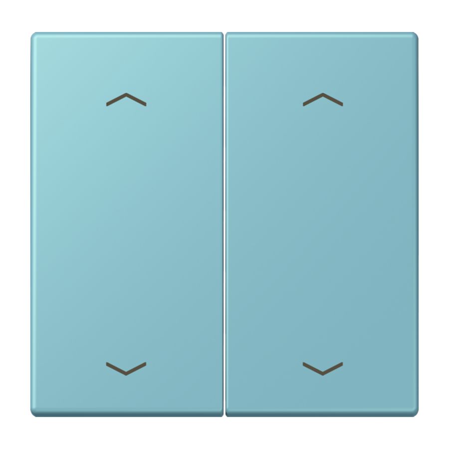 Wip KNX-F10 taster 2voudig pijl LC32032