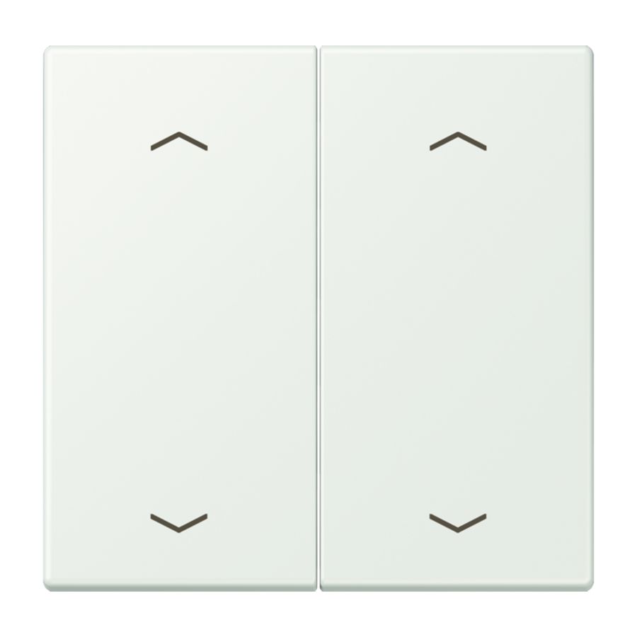 Wip KNX-F10 taster 2voudig pijl LC32024