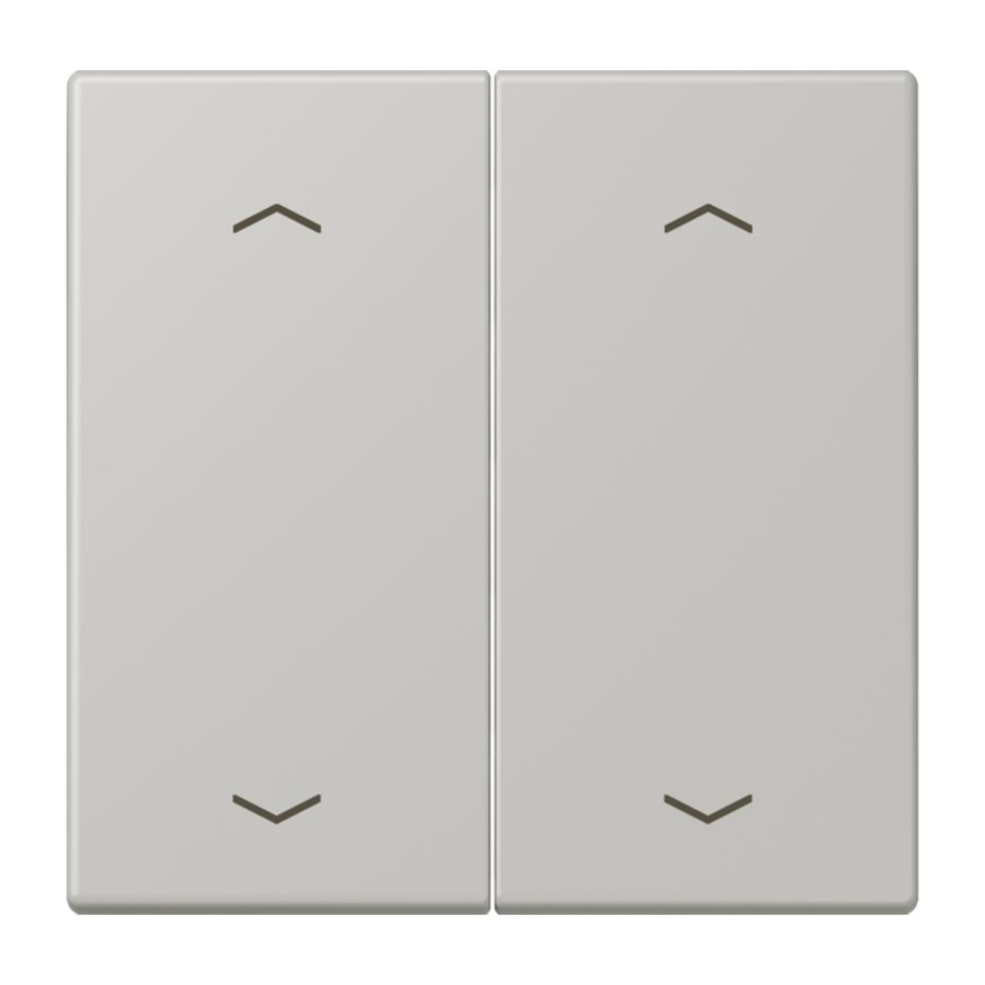 Wip KNX-F10 taster 2voudig pijl LC32013