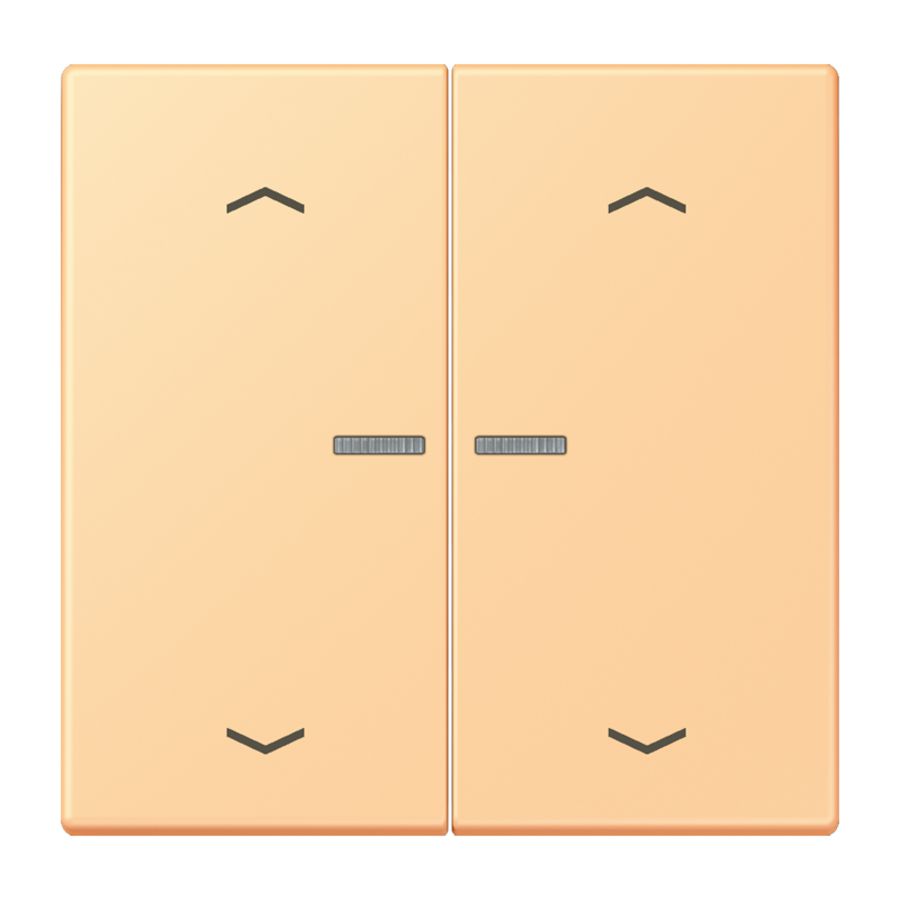 Wip HOME/KNX-F10 2voudig lens+pijlen LC4320P