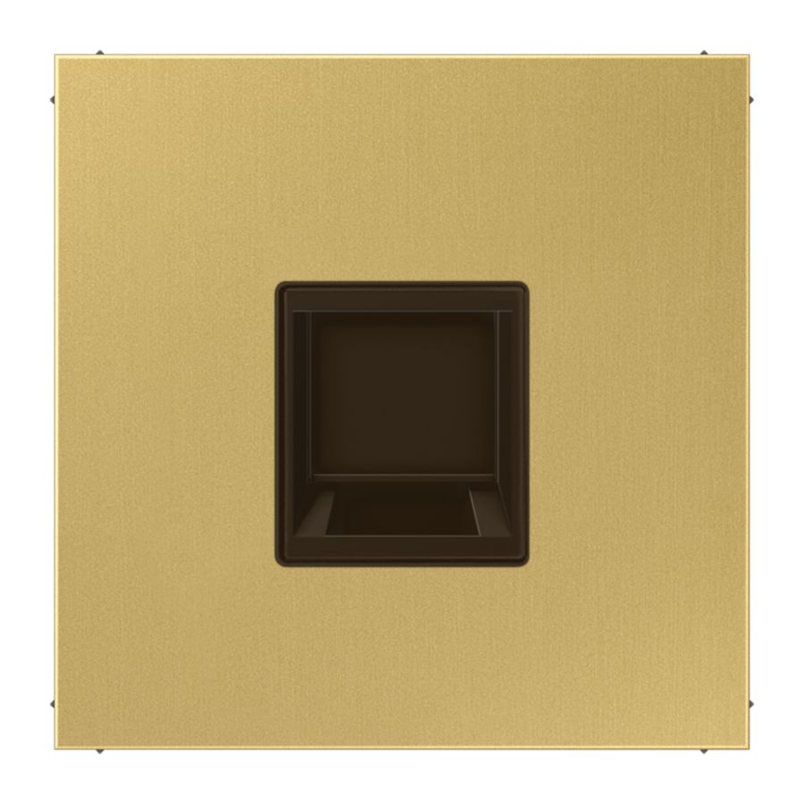 Afdekking LS messing clas.v.mod.jack 1-voudig.