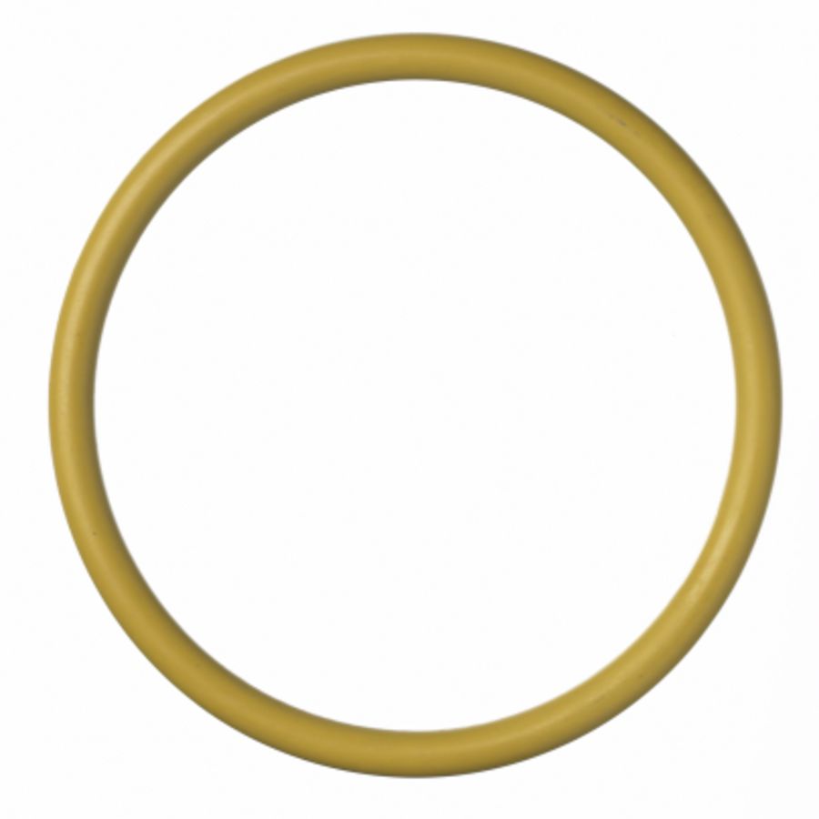 O-ring Xpress RVS gas HNBR 15mm R2755G VVE=20