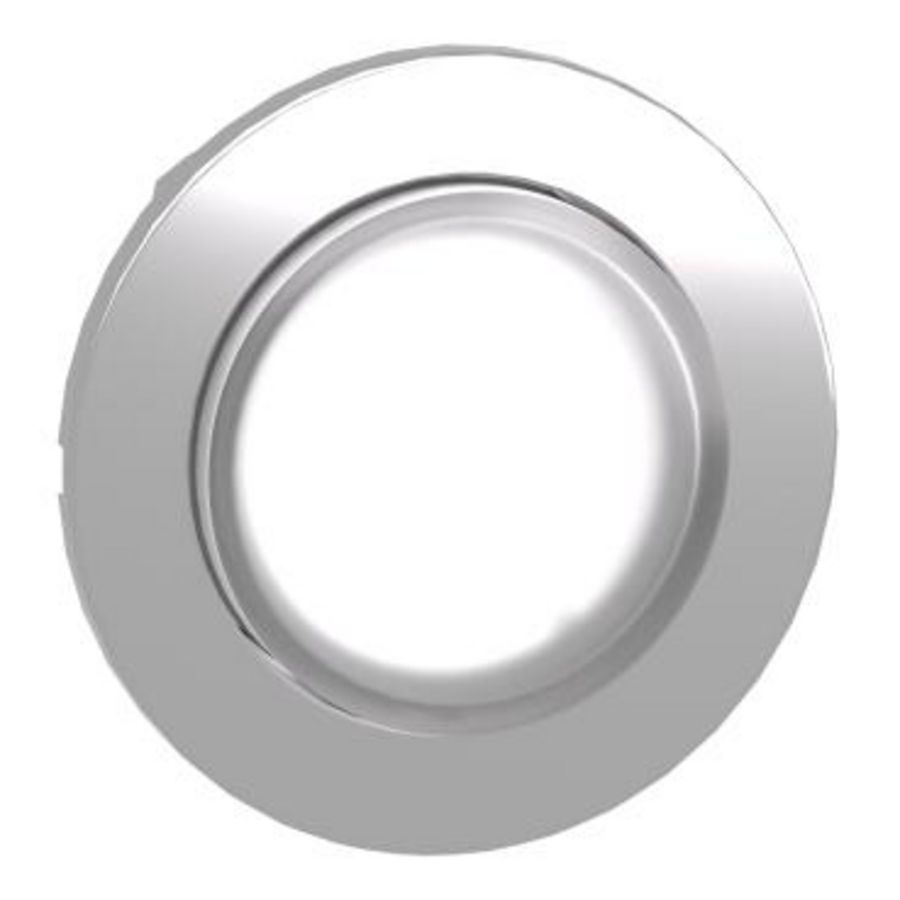 Flush mounted white projecting illuminated pushbutton head
