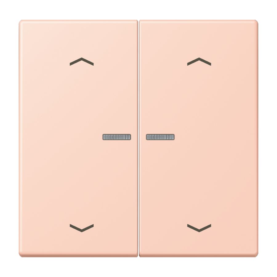 Wip HOME/KNX-F10 2voudig lens+pijlen LC32112