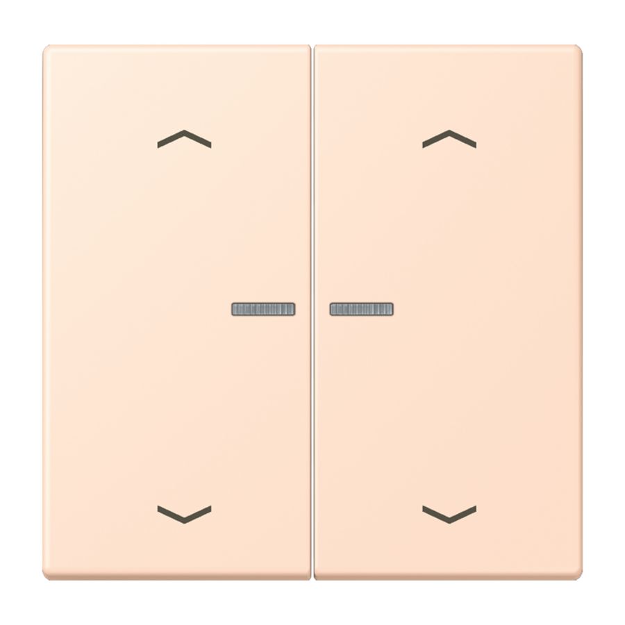 Wip HOME/KNX-F10 2voudig lens+pijlen LC32091