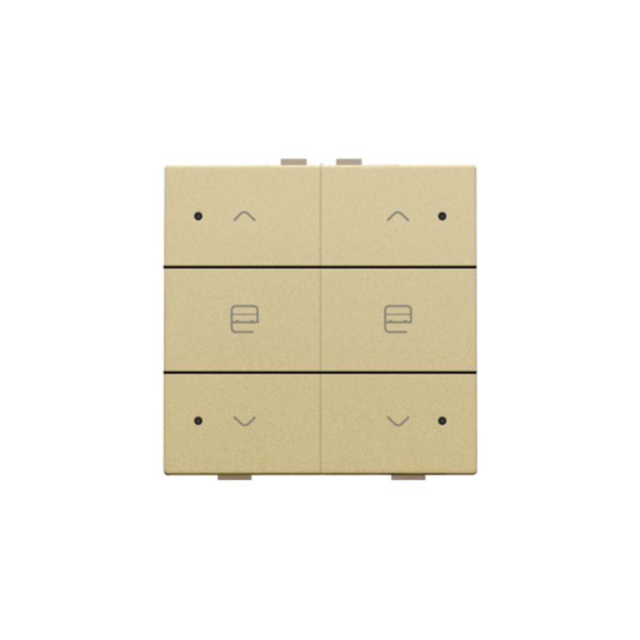 Dubbele motorsturingsbediening led Home Control gold co