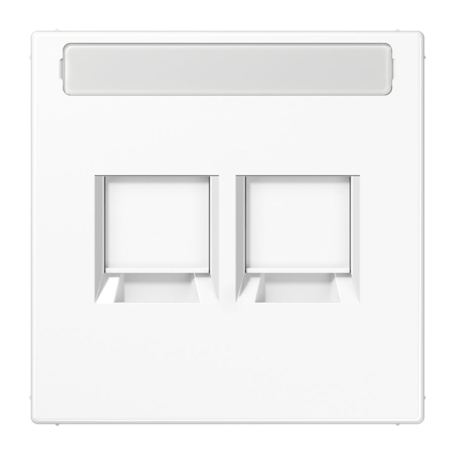 Afdekking LS990 alp.wit voor mod.jack 2-voudig.