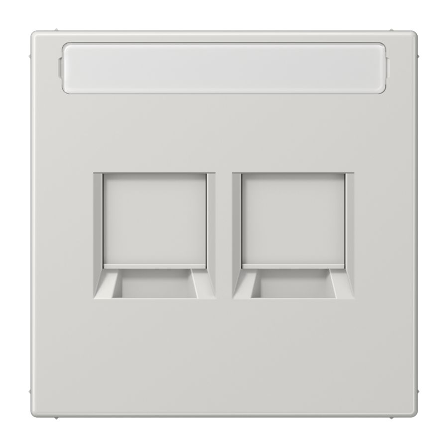 Afdekking LS990 li.grijs.v.mod.jack 2-voudig.