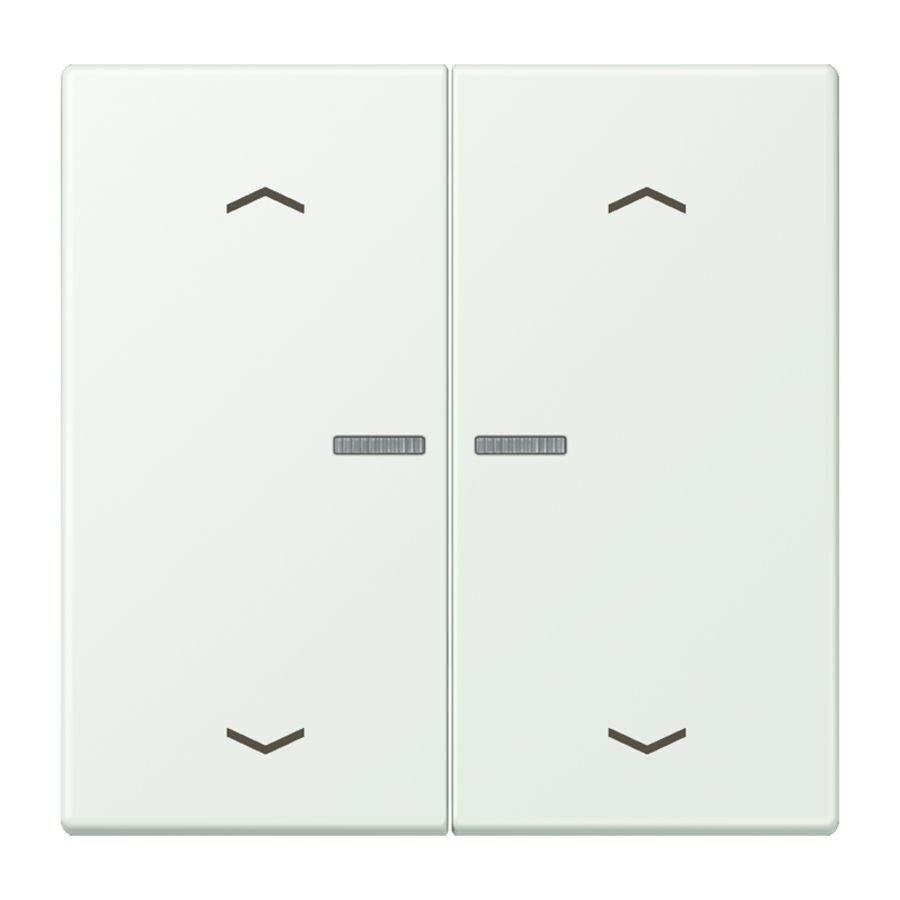 Wip HOME/KNX-F10 2voudig lens+pijlen LC32024