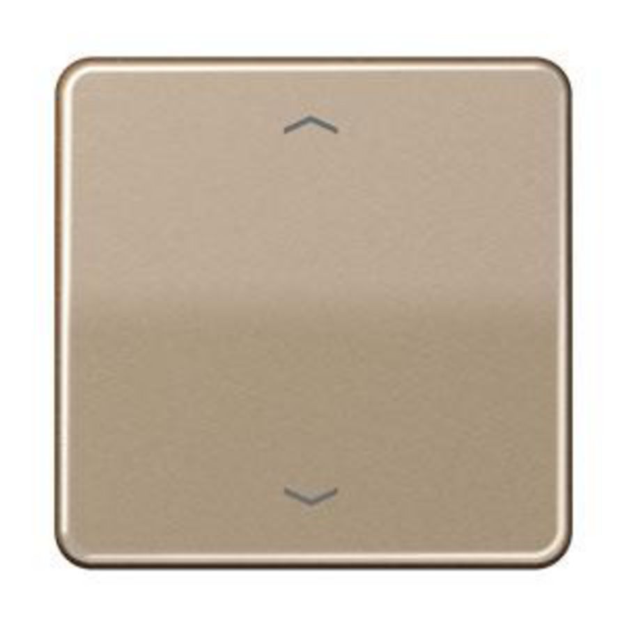 Schakelwip CD500 goud bruin met pijlsymbool VVE=10