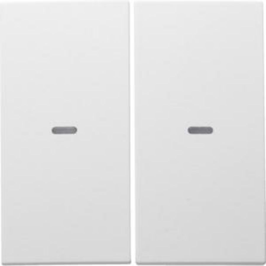 Drukknopmodule afdekking 2-v voor berker S/B polarwit mat