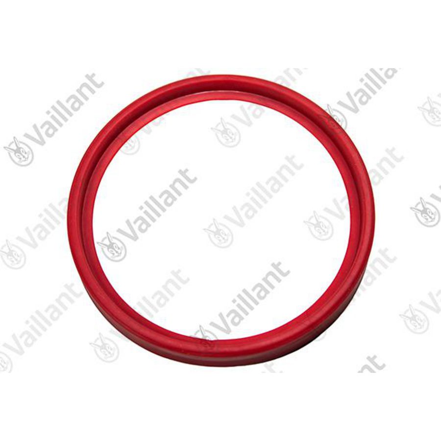Lippenring, silicone DN60 0020209348
