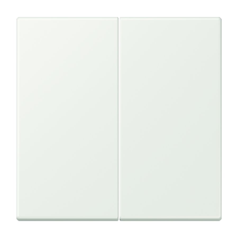 Wip KNX-F10 taster 2voudig LC32024