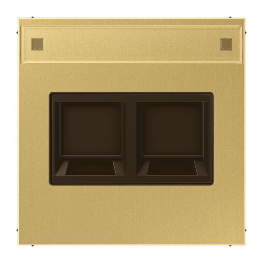 Afdekking LS messing clas.v.mod.jack 2-voudig.