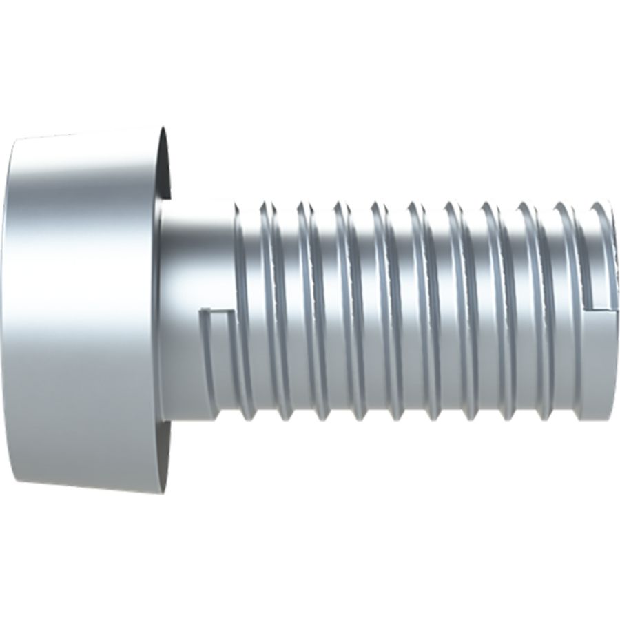 Schroef M6X12 DIN84 VVE=50