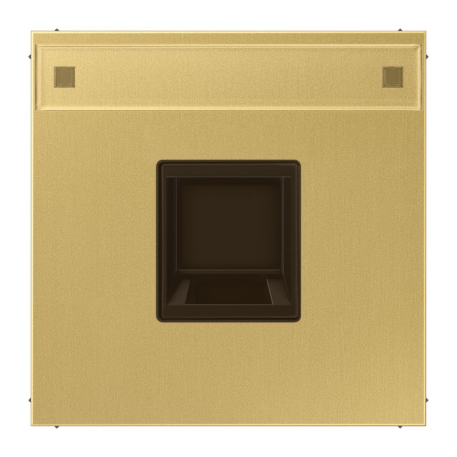 Afdekking LS messing clas.v.mod.jack 1-voudig.