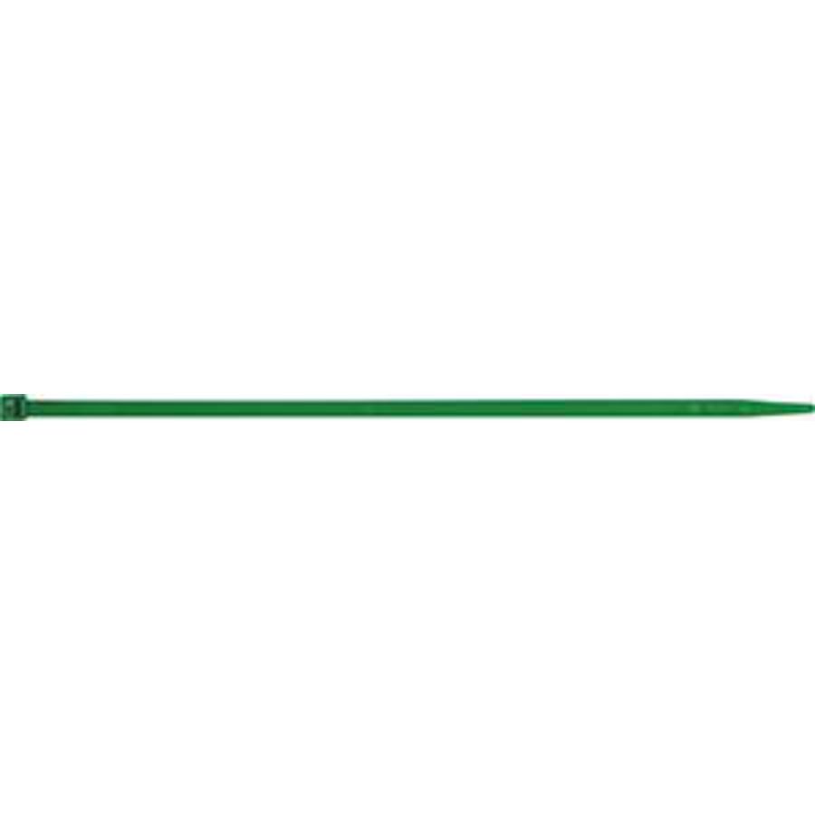 Bundelband 100x2,5mm groen VVE=100