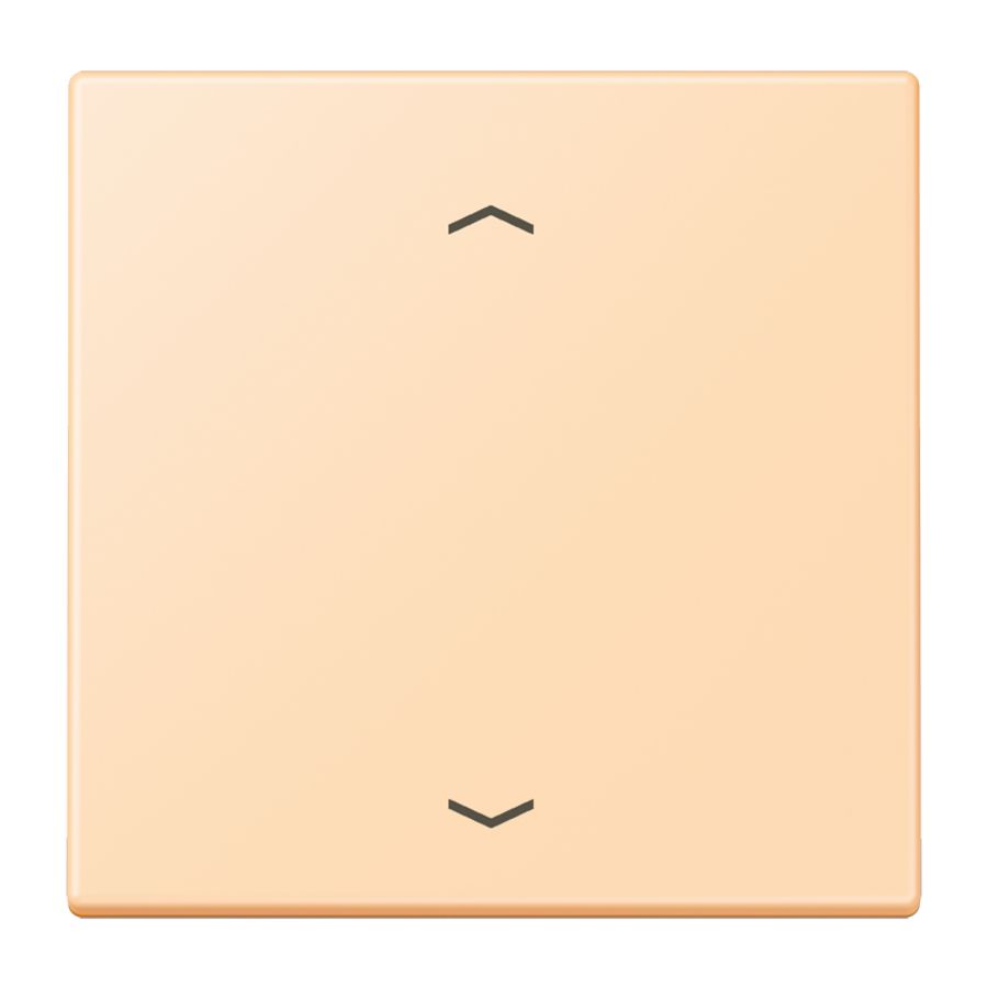 Wip KNX-F10 taster 1voudig pijl LC32060