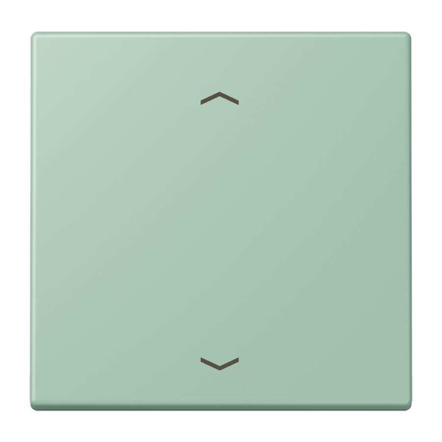Wip KNX-F10 taster 1voudig pijl LC32041