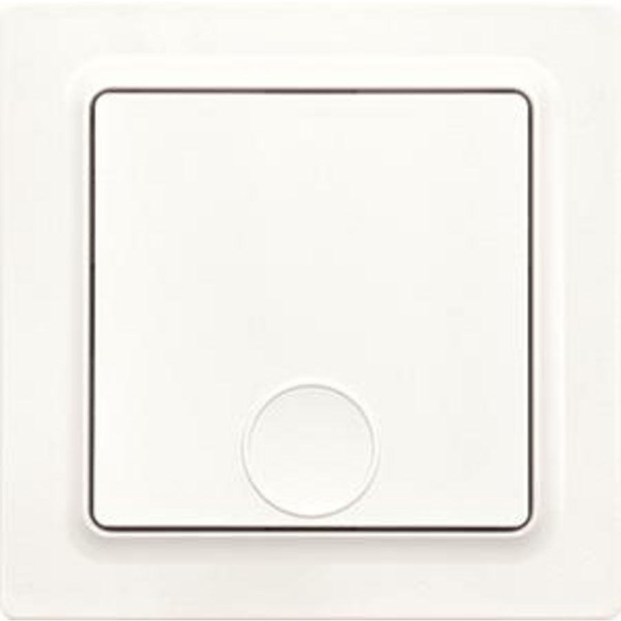 Draadloze EnOcean pulsdrukker,1-kanaals,E-Design,55x55