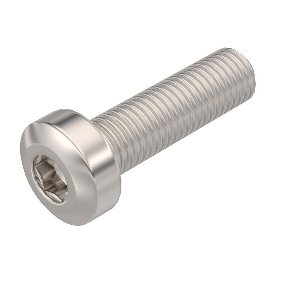 Platte kop schroef windgeleiderplaat Roestvast staal VVE=100