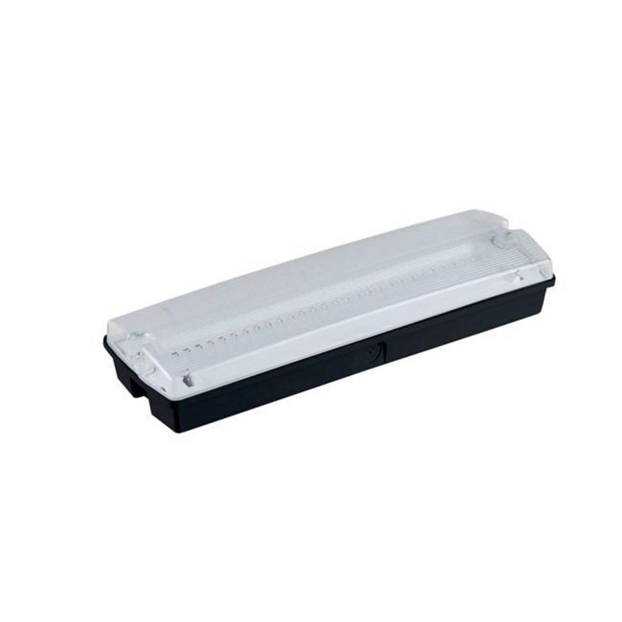 LFSPROBH IP65 C EM3 NM/MT DAZW