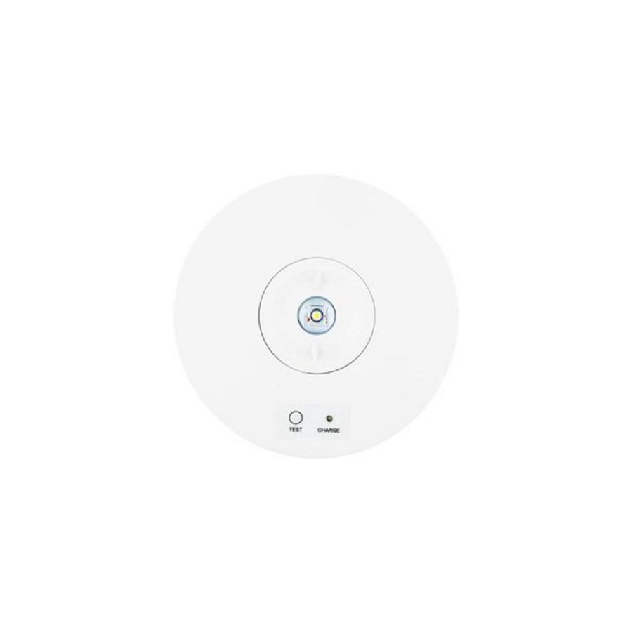 Downlight LIFESAFE IP65 RA opbouw EM3 NM zelftest