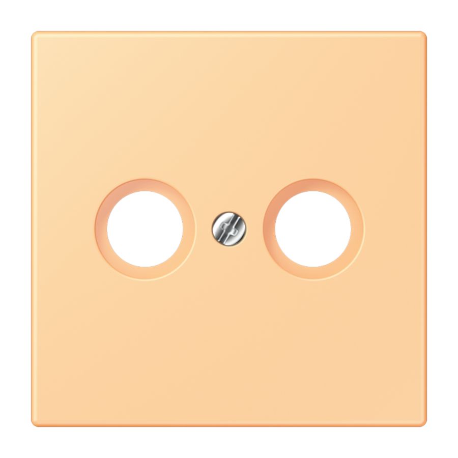 Afdekking CAI 2-gats LC4320P