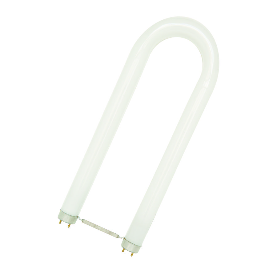 TL-buis U-shaped T8 2G13 36W 835