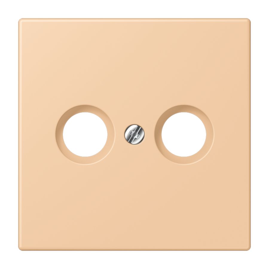 Afdekking CAI 2-gats LC32122