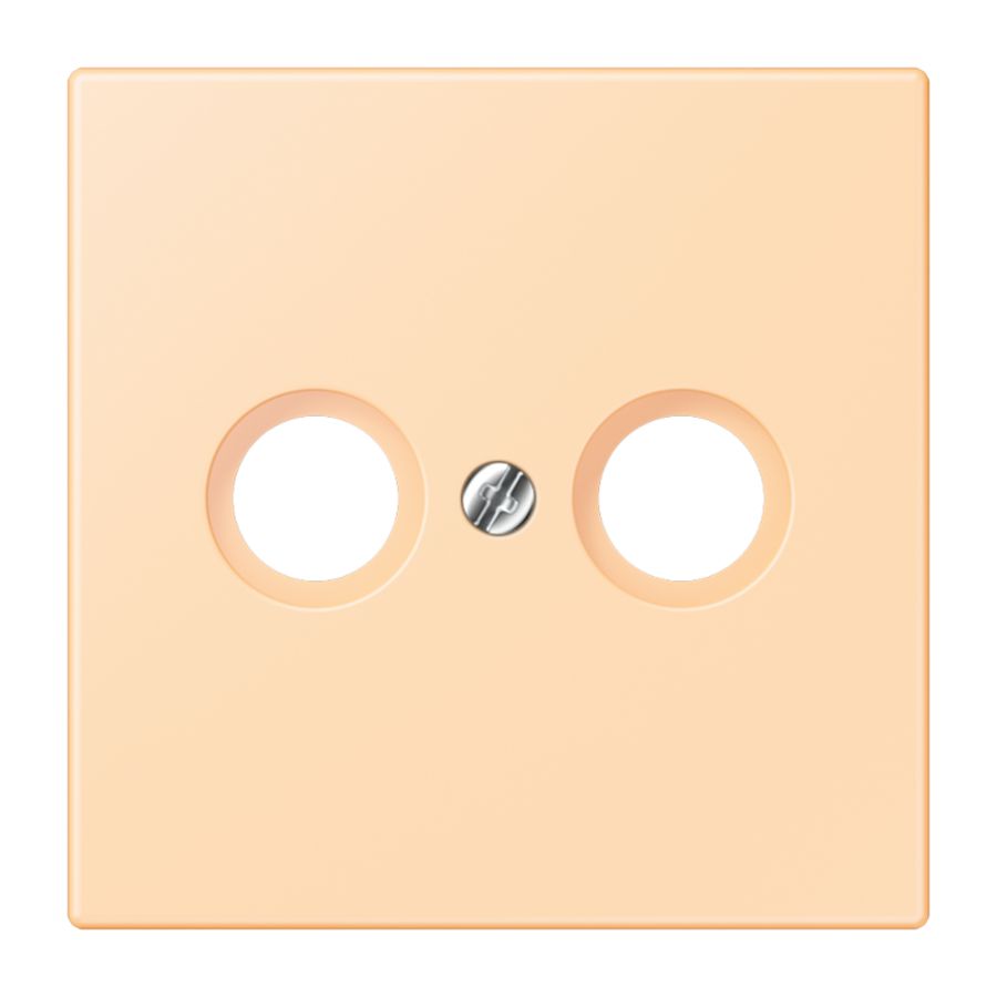 Afdekking CAI 2-gats LC32060