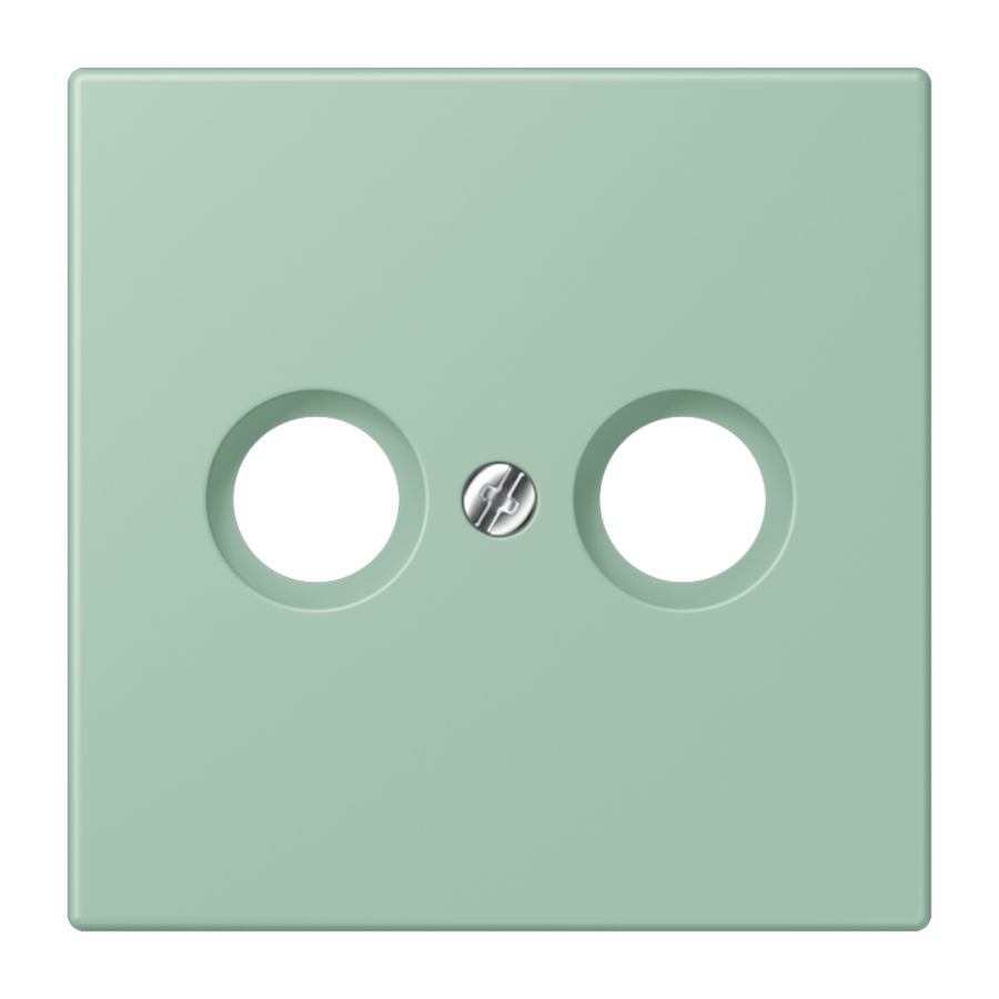 Afdekking CAI 2-gats LC32041