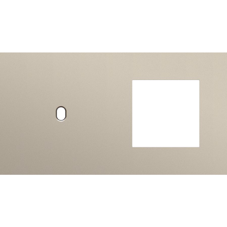 Afdekplaat 2-voud horiz. 71mm centerafst. 166-57805