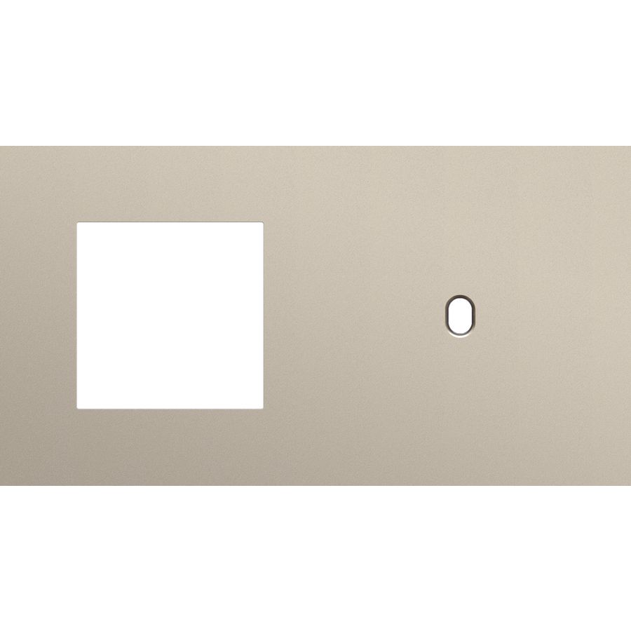 Afdekplaat 2-voud horiz. 71mm centerafst. 166-57806