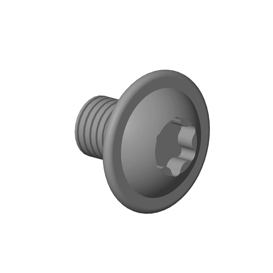 Bevestiging Cilinderschroef Set 10 stuks M4X5mm