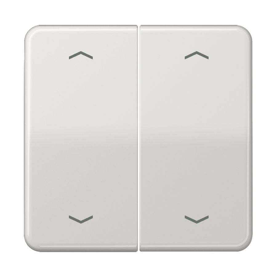Wip lg.met pijl v.KNX F10 tast 2voudig CD500