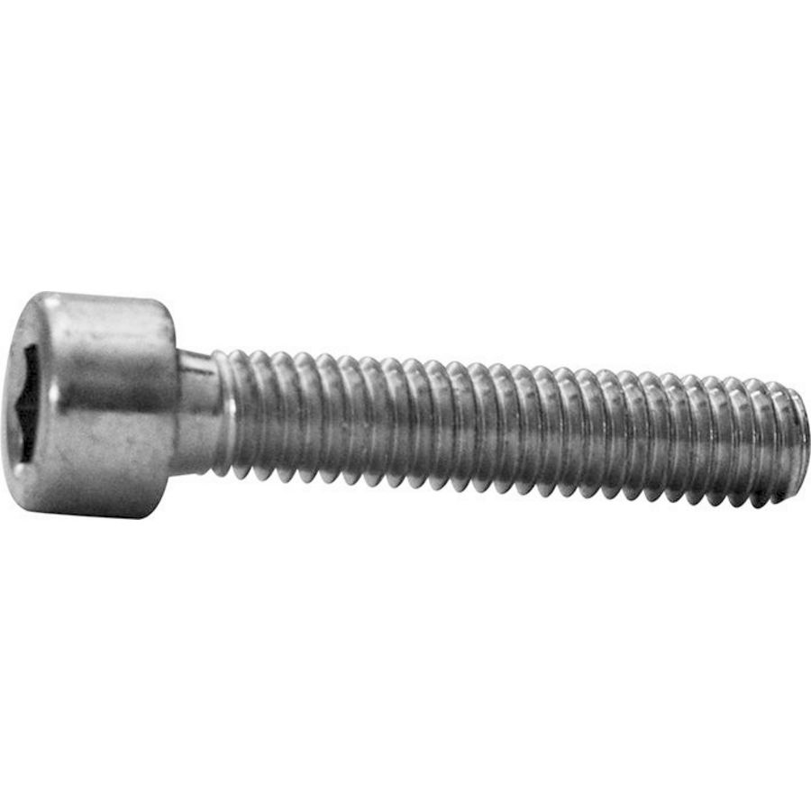 Set a 10st. cilinderschroef M8x20mm 2cpX062521R9999